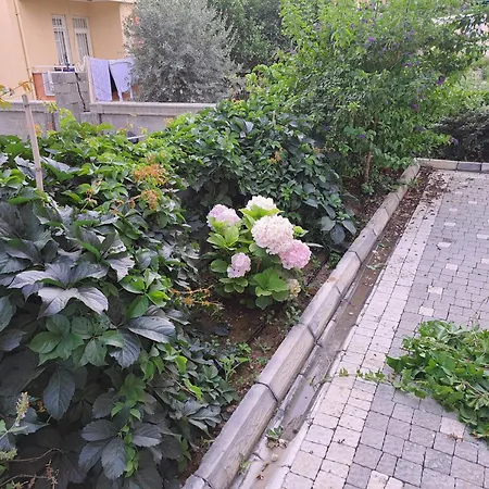 Akgul Sitesi * Gazipaşa