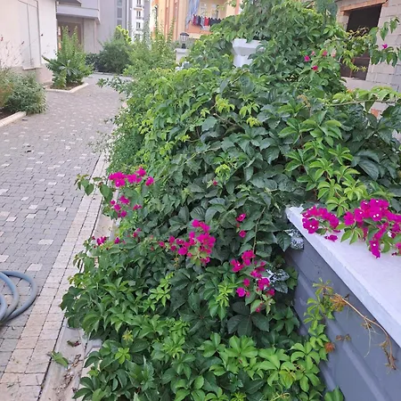 Apartman Akgul Sitesi
